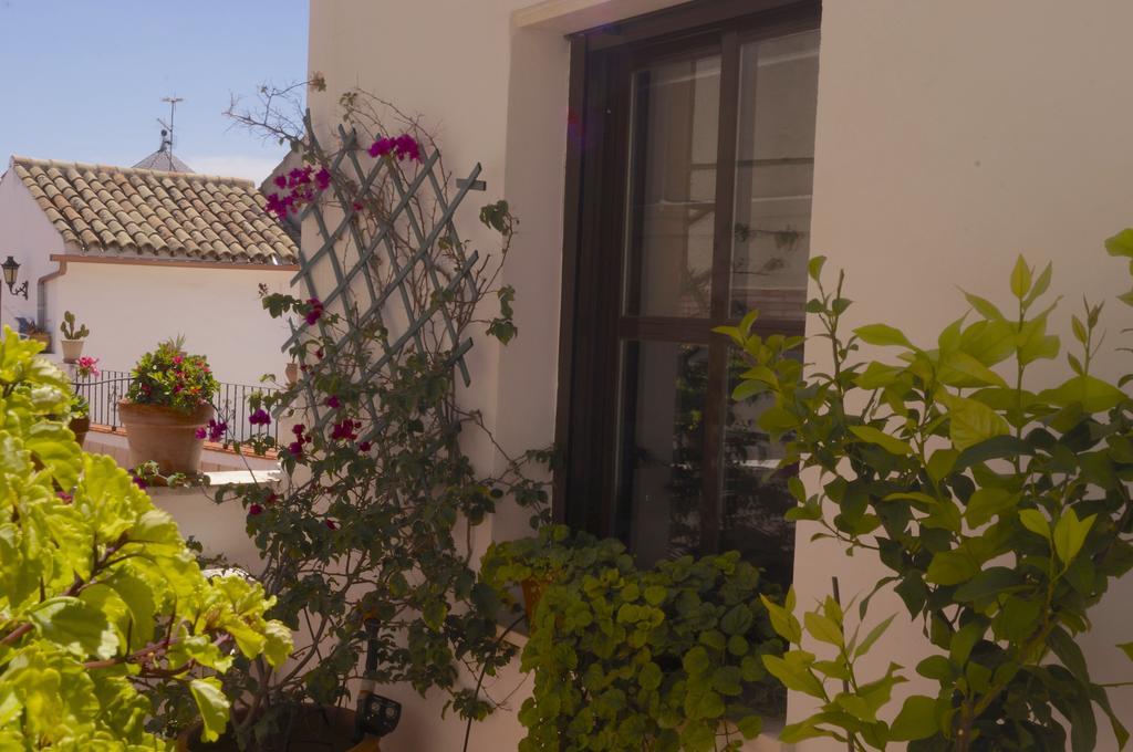 Apartamento Penthouse Puerta de la Judería Córdoba Exterior foto